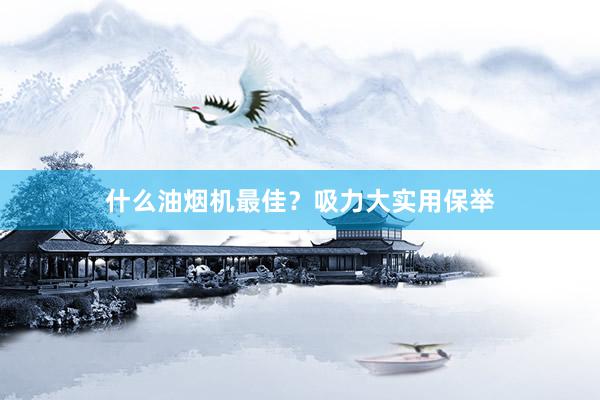 什么油烟机最佳？吸力大实用保举