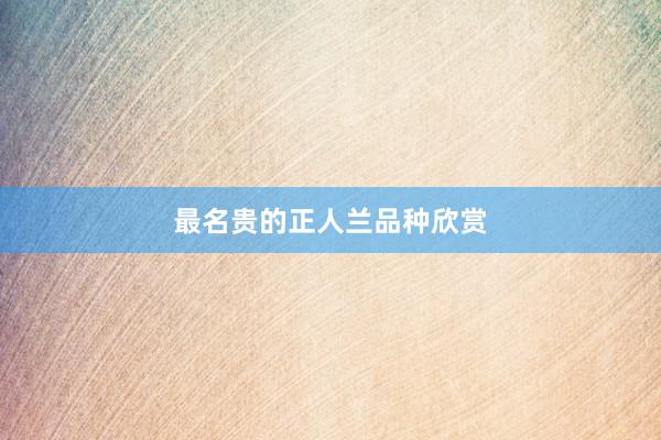 最名贵的正人兰品种欣赏