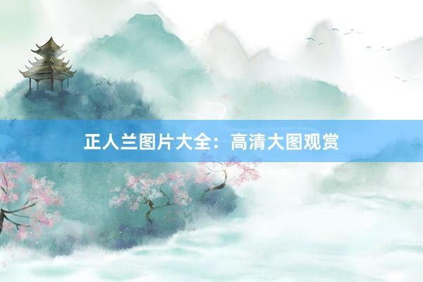 正人兰图片大全：高清大图观赏