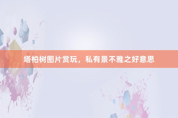 塔柏树图片赏玩，私有景不雅之好意思