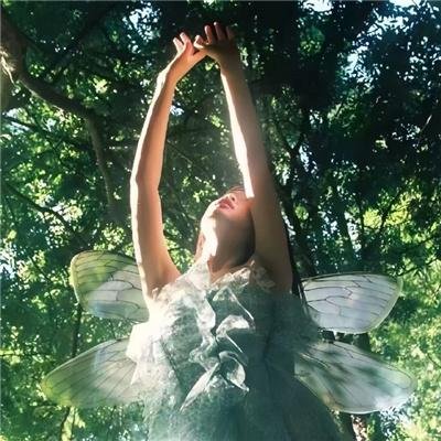 寅次郎的故事21:走自己的路